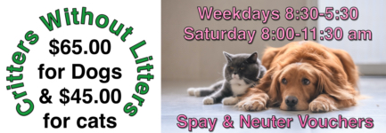 Critters Without Litters Spay and Neuter Discount